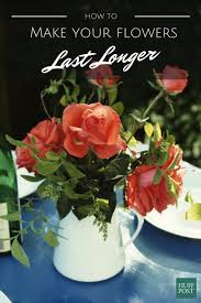 This will prevent bacterial growth, thus keeping flowers fresh longer. 8 Steps To Ensure Your Flower Bouquets Last Longer Huffpost Life