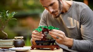 We would like to show you a description here but the site won't allow us. Lego 10281 Bonsai Tree 10280 Flower Bouquet Official Designer Video Press Release Toys N Bricks