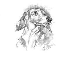 Black And White Dachshund Drawing Dog Dachshund Portrait Doxie 6 Instant Download Printable Artwork Black And White Art Digital Jpeg File By Dig Dachshund Art Dachshund Dachshund Sketch