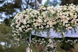 We did not find results for: Luxury Florist Wayne Riley Flowers