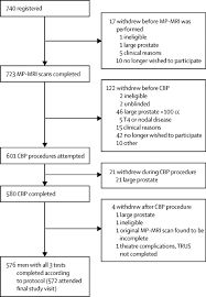 diagnostic accuracy of multi parametric mri and trus biopsy