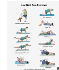 Pin On Exercicios