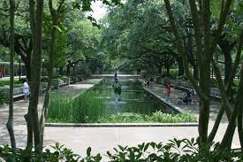 Houston Zoo Reflection Pool Reflecting Pool Houston Zoo Pool