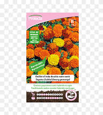 Rodent control brand has also appeared in 1 other occasion according to our records. Biological Pest Control Png Images Pngwing