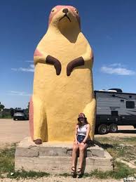 Distance from cactus flat to murdo, sd is 61miles or 99 km. Cactus Flat Sd Six Ton Prairie Dog
