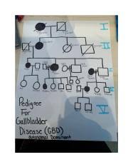 Copy of PBS 2.2.3 Rossi Family Pedigree 1 .pdf