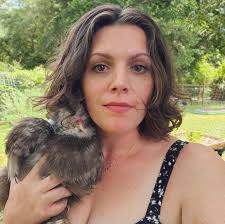 Only rabbit I have left still needing a new home is my sweet grey and white  with blue eyes Lionshead. She has had one litter and was an amazing mother.  I have