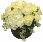 Which palm beach county businesses won? Palm Beach Florist Palm Beach Fl Flower Shop Flowers Of Worth Avenue