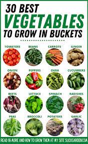 30 Best Vegetables To Grow In Buckets Container Gardening Pot Garden Growing Vegetables In Pots Growing Vegetables Growing Vegetables In Containers