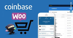 I chose bitcoin cash (bch). 50m Online Stores Get Access To Btc Eth Bch Ltc With Coinbase Woocommerce Plugin