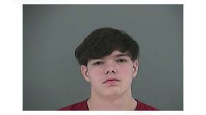 Anderson County man pleads guilty to killing his mom after she took away  his phone