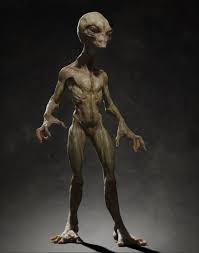 Https Www Turbosquid Com 3d Models 3d Rigging Skin Model 717194 Referral Traint Grey Alien Skin Model Alien Concept Art