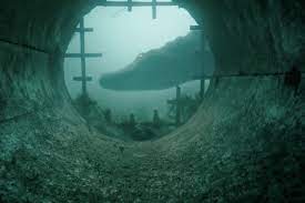 To proceed or act servilely: Crawl Director Responds To Extremely Serious Florida Basement Criticism Polygon