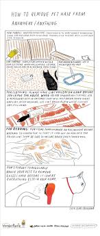 Yet another frugal way to clean up cat hair from your. How To Remove Pet Hair From Anything Anywhere The Secret Yumiverse Wonderhowto