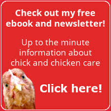 Plan to harvest the seeds when the petals are dry and the base of each bloom (the seed pod) is turning brown. Which Marigolds Are Best For Your Chickens Health