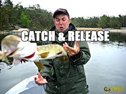 Catch Fishing Memes Fishing Jokes Fishing Humor