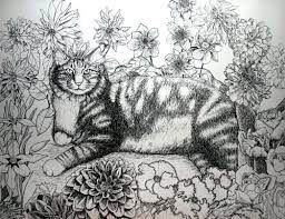 Ink animal drawings cats and more. Cat Drawing Pen And Ink Maine Coon Cat In Repose Sheila Alden