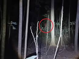 Seram ini 9 hantu wanita sejenis kuntilanak dari berbagai negara. Jalan Malam Malam Youtuber Ini Temukan Kuntilanak Merah