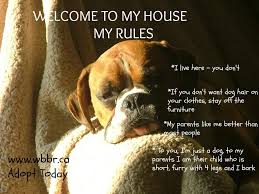 Pin By Elaine Barton On Me Loves Puppies Boxer Dogs Boxer Love Dogs
