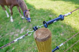 Hendriks Omheining Omheining Houten Poorten Paarden