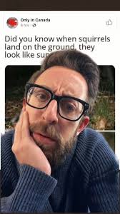 this is the best news ever... #squirrel #superhero #landing #reaction #reels