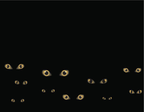 25,600+ Night Eyes Illustrations - iStock