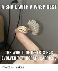 Announcement hornets nest vintage is my vintage shop for home decor, letterpress metal type hornets nest wants you to love your purchase! A Snail With A Wasp Nest The World Of Insects Has Evolved To Aircraft Carriers Next Is Nukes Nest Meme On Me Me