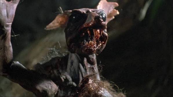 Dead Alive (Braindead) Blu-ray - Timothy Balme