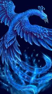 Choose your favorite phoenix bird drawings from millions of available designs. Ice Phoenix Wallpapers Top Free Ice Phoenix Backgrounds Wallpaperaccess