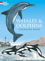 Coloring, dolphins, just color!, ocean, ocean animals, printables, whales leave a comment. Whales And Dolphins Coloring Book Timeless Toys Ltd