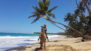 We did not find results for: Activitatii Republica Dominicana Corina Costache