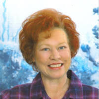 50+ perfiles de «Wakenight»