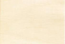 Image result for Triplochiton