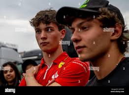 Bearman hi-res stock photography and images