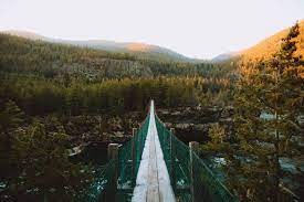 Suspension footbridges in the united states. How To Reach Montana S Hidden Kootenai Falls Swinging Bridge On Your Next Inland Northwest Adventure The Mandagies