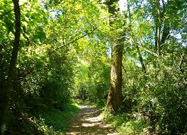 El viaje menos pensado de mi vida a europa, el punto es que últimamente se han reportado incendios forestales, específicamente en el conocido por todo jalisciense como bosque de la primavera, y recuerdo cuando fui con mis mejores amigos, y tú. Bosque De La Primavera Guadalajara Mexico Todo Lo Que Debes Saber Tips Para Tu Viaje