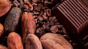 Du Chocolat Cru Health Healthy Cacao Benefits