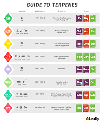 Cannabinoid List Of Drug Vape