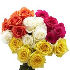 Now that you know each rose color's meaning, you can create the perfect bouquet that expresses exactly what you want. Amazon Com 50 Assorted Roses 2 Beautiful Colors Fresh Cut Flowers Beautiful Gift Delivery Tuesday August 3 Grocery Gourmet Food
