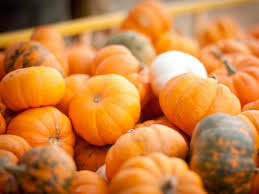 Walmart.com has been visited by 1m+ users in the past month Freezing Pumpkins Hgtv