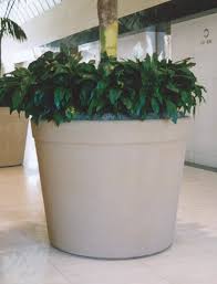 Container garden fenway park's home run. 48 Executive Planter Commercial Outdoor Planters