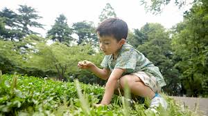 There's something magical about the idea of finding a pot of gold. 12 St Patrick S Day Scavenger Hunt Ideas For Kids Of All Ages Sheknows