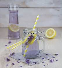 Lavendel Wasser Rohkost Rezept Fur Entsafter Und Saftpresse Happy Vita Entsafter Rezepte Entsafter Rohkost Rezepte