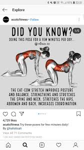 Cat Cow Stretch Pose In 2020 Easy Yoga Workouts Yoga Benefits Yoga Health