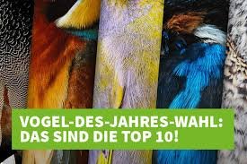 Ten is the base of the decimal numeral system, by far the most common system of denoting numbers in both spoken and written. Top 10 Kandidaten Fur Den Vogel Des Jahres 2021 Nabu