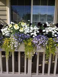Collection by susan benko • last updated 4 days ago. Pin By Sara Schmitz On Garden Outdoors Porch Flowers Front Porch Flowers Window Box Flowers