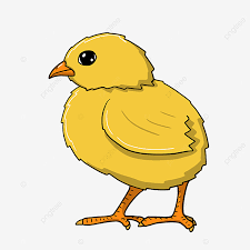 Gambar Anak Ayam Clipart Cewek Anak Ayam Unggas Png Transparan Clipart Dan File Psd Untuk Unduh Gratis