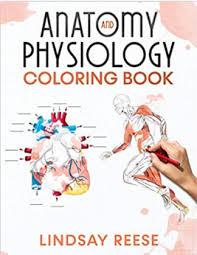 Download Download Anatomy And Physiology Coloring Book Pdf Free