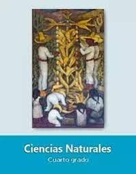 Ciencias naturales grado 4° libro de primaria. Ciencias Naturales Cuarto 2019 2020 Ciclo Escolar Centro De Descargas