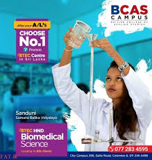 Bsc Hons In Biomedical Science Biomedical Science Biomedical Science